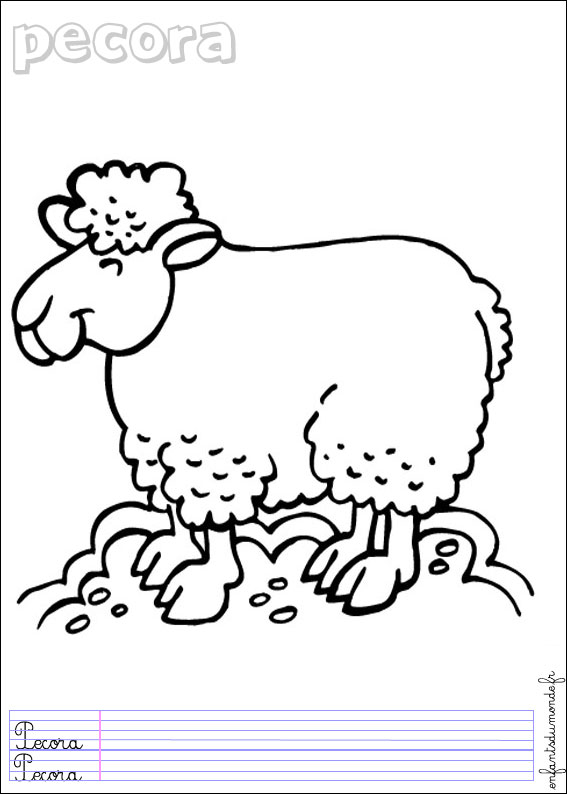 coloriage mouton 3